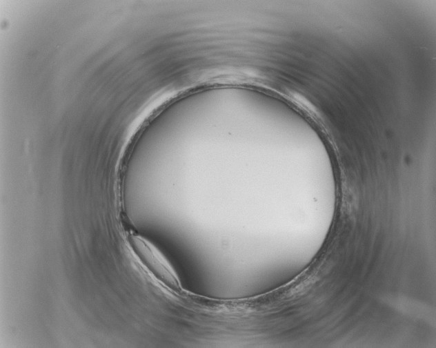 X0000054441384200508270002