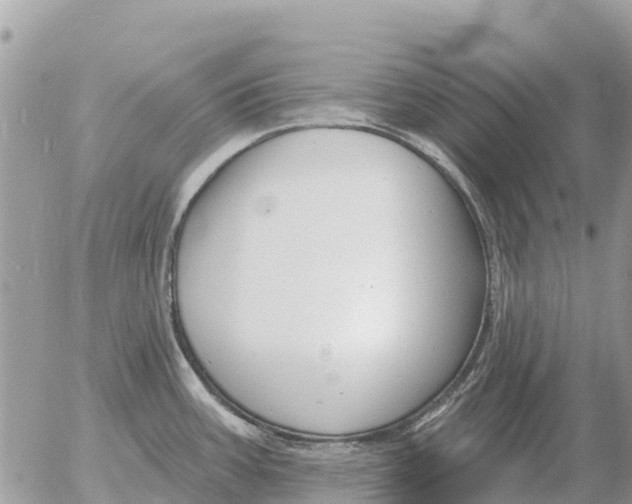 X0000054441387200508270001