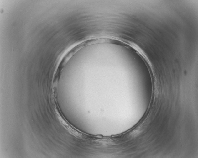 X0000054441388200508270001