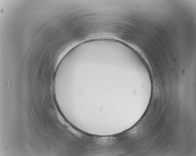 X0000054441390200508270001