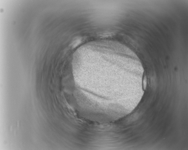 X0000054441393200508270001