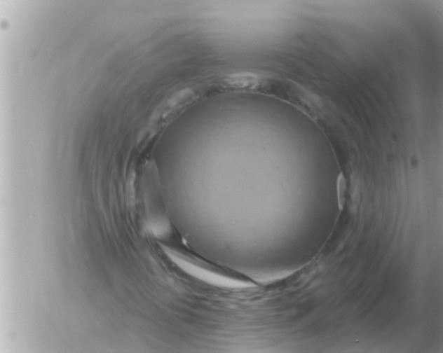 X0000054441394200508270001