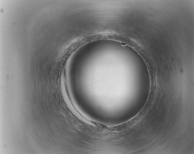 X0000054441398200508270001