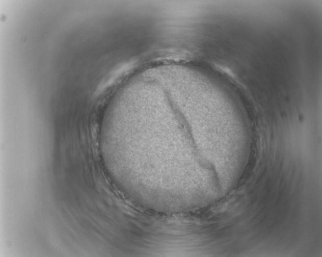 X0000054441399200508270001