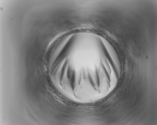 X0000054441400200508270001