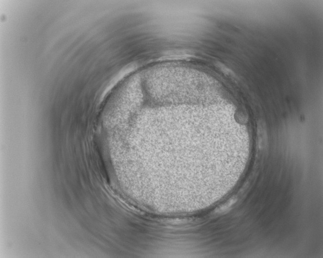 X0000054441401200508270001