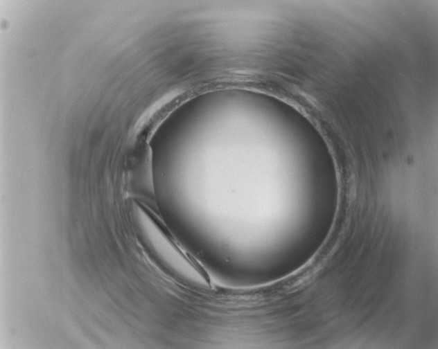 X0000054441402200508270001