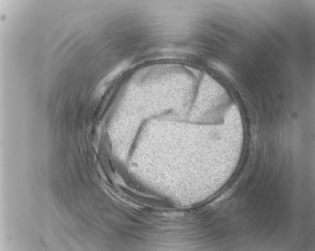 X0000054441403200508270001