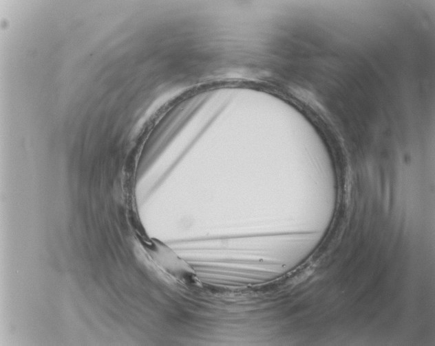 X0000054441404200508270001