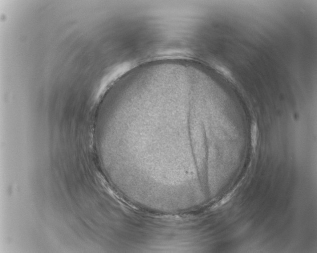 X0000054441405200508270001