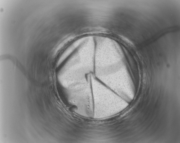 X0000054441407200508270001