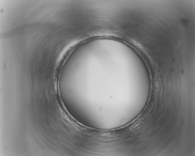 X0000054441408200508270001