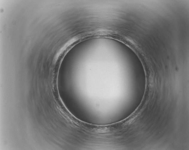 X0000054441410200508270001