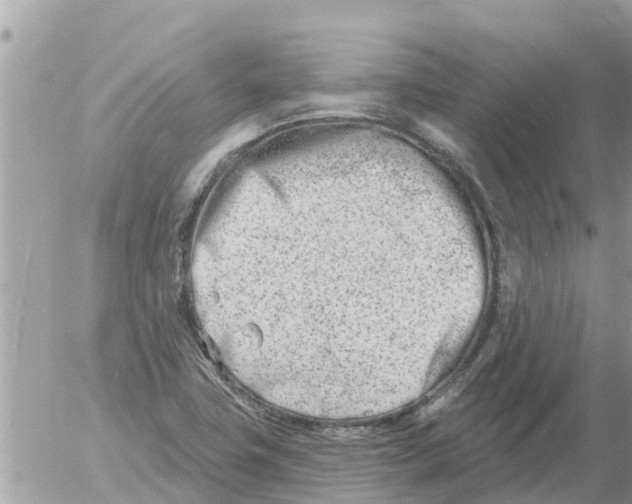 X0000054441411200508270001