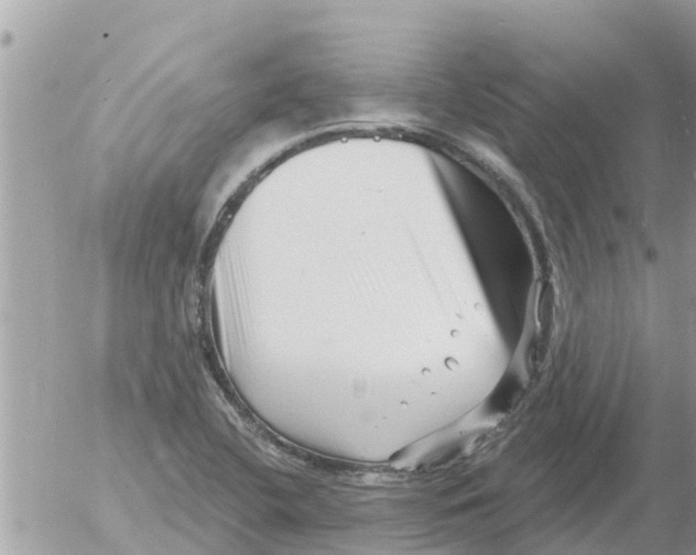 X0000054441412200508270001