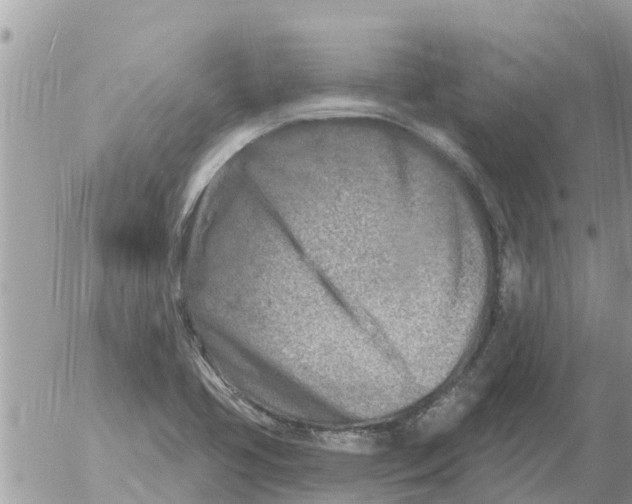 X0000054441413200508270001