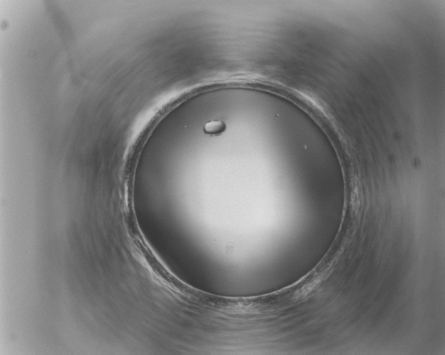 X0000054441414200508270001