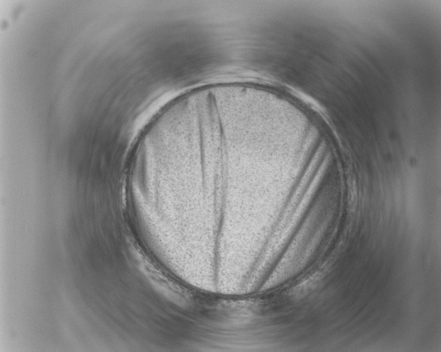 X0000054441415200508270001