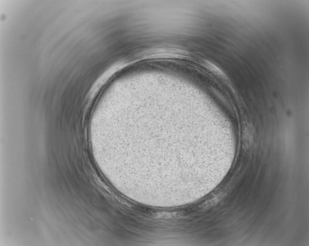 X0000054441419200508270001