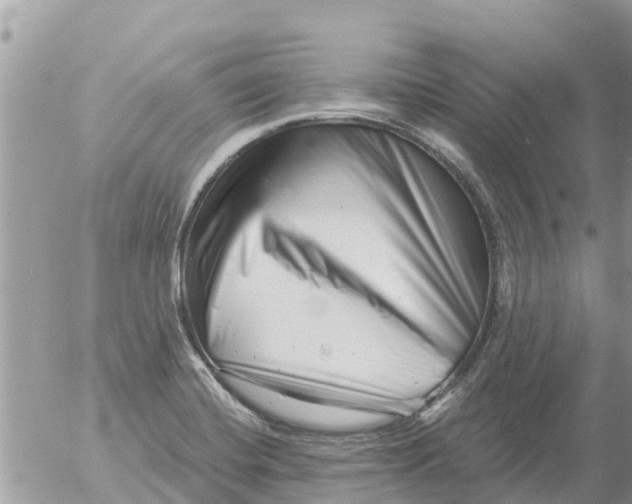 X0000054441420200508270001