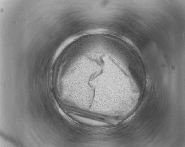 X0000054441421200508270001