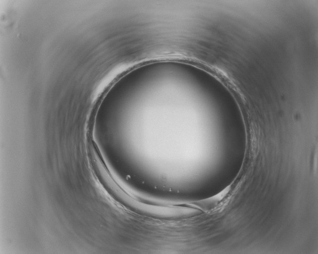 X0000054441422200508270001