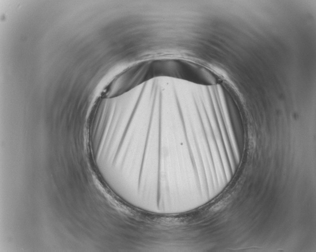 X0000054441424200508270001