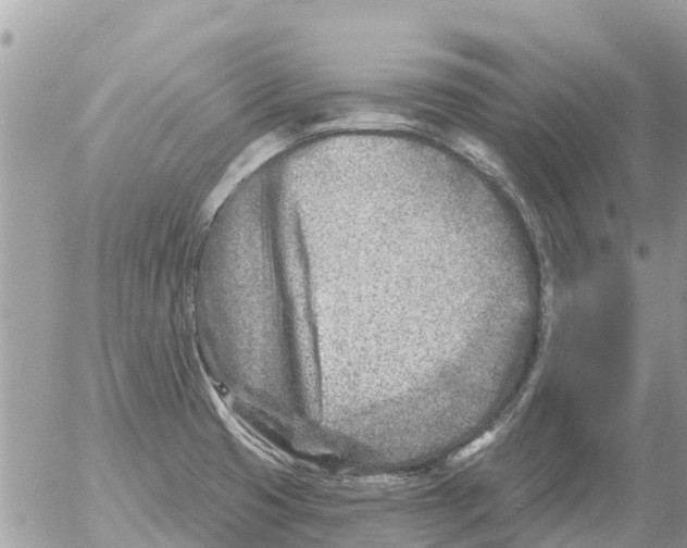 X0000054441425200508270001