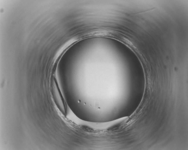 X0000054441426200508270001