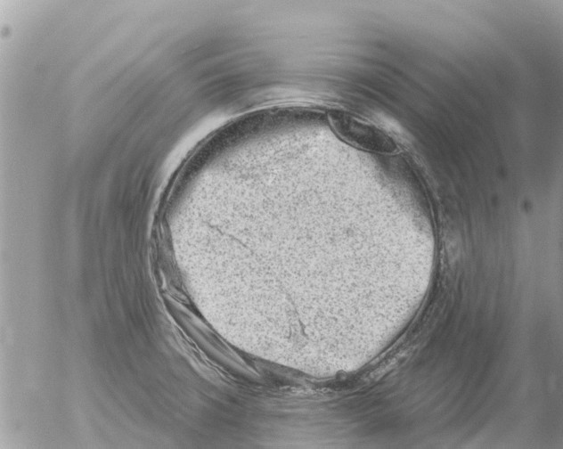 X0000054441427200508270001