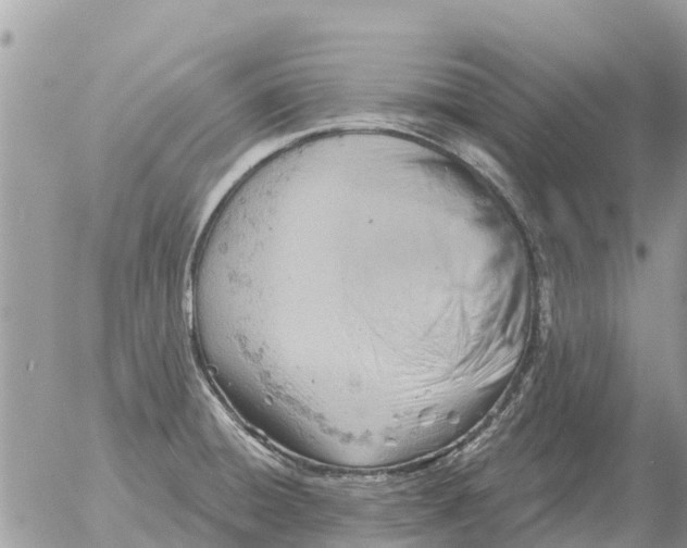 X0000054441428200508270001