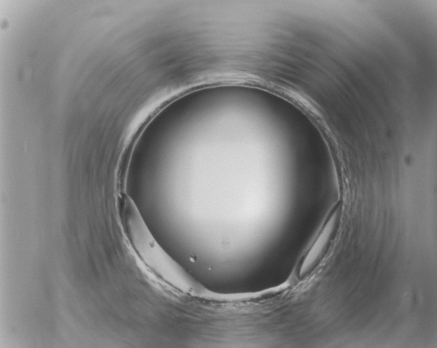 X0000054441430200508270001