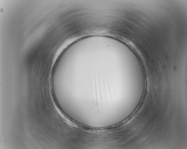 X0000054441432200508270001