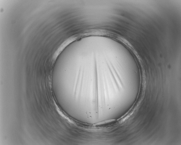 X0000054441433200508270001