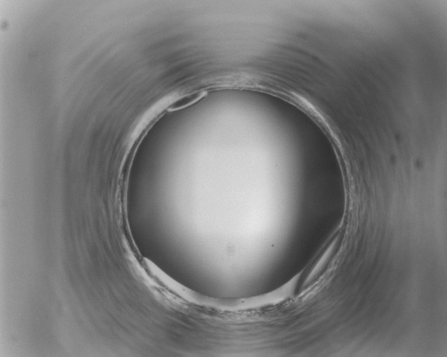 X0000054441434200508270001