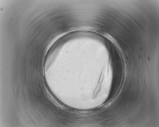 X0000054441436200508270001