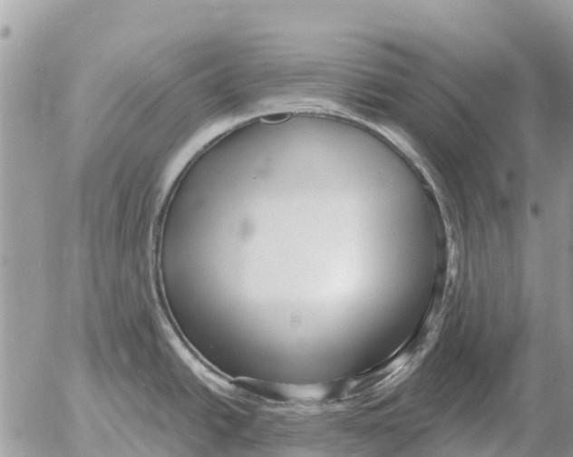 X0000054441438200508270001