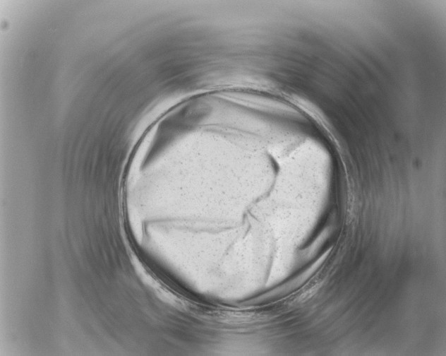 X0000054441439200508270001