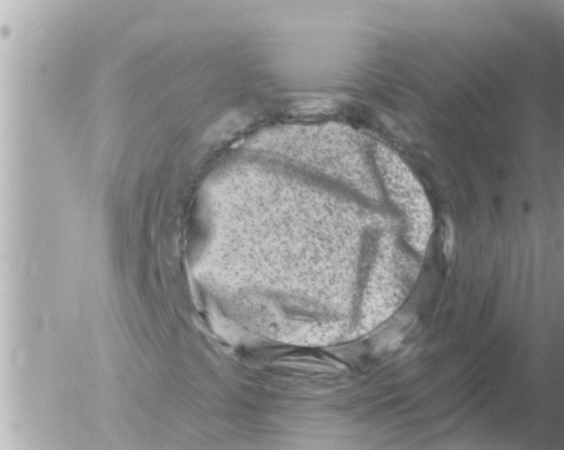 X0000054441441200508270001