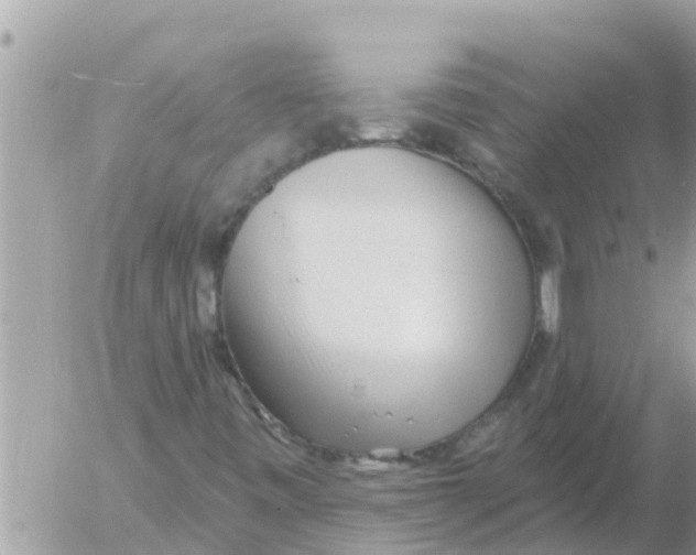 X0000054441443200508270001