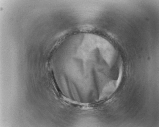 X0000054441445200508270001