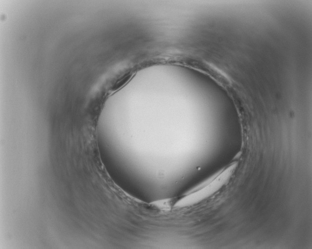 X0000054441447200508270000