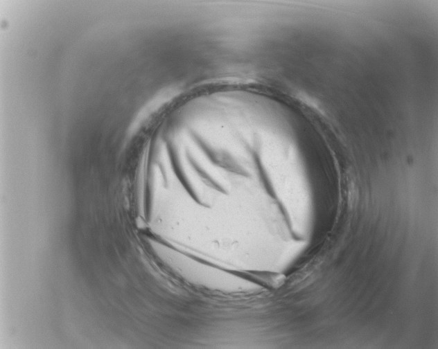 X0000054441448200508270000