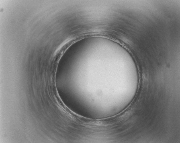 X0000054441450200508270000