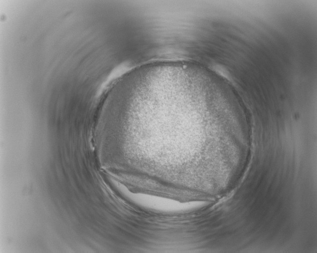 X0000054441451200508270000