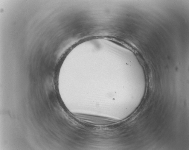 X0000054441452200508270000