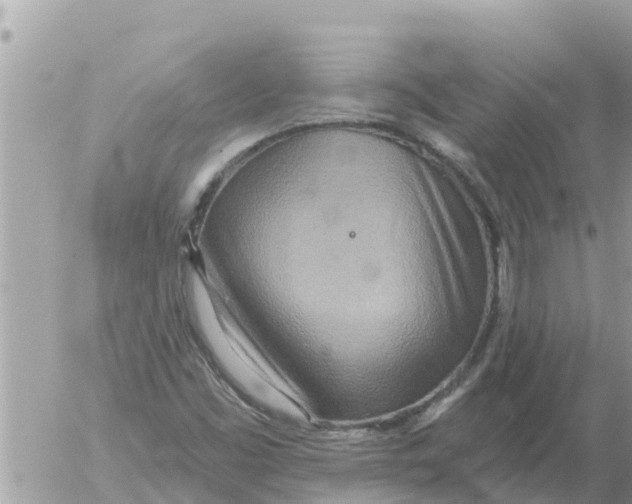 X0000054441453200508270000