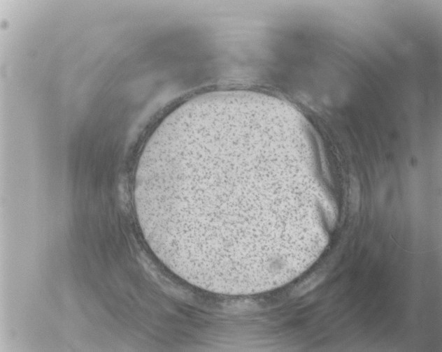 X0000054441454200508270000