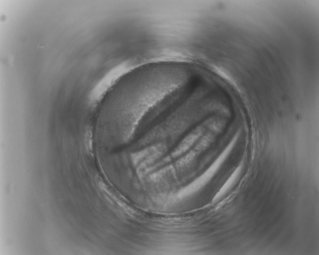 X0000054441455200508270000