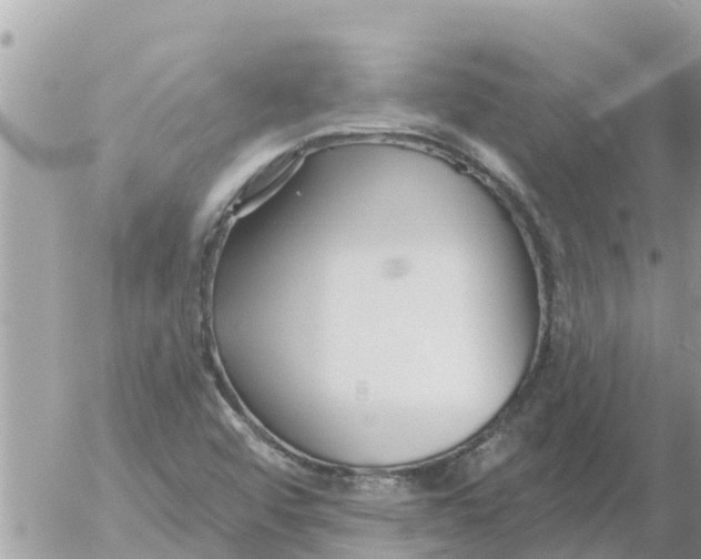 X0000054441456200508270000